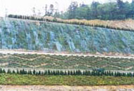 草坪建植有技術