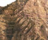 褶皺山