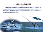 獨角鯨